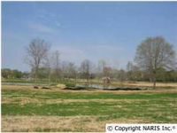 11 Vaughn Bridge Road, Hartselle, AL 35640 