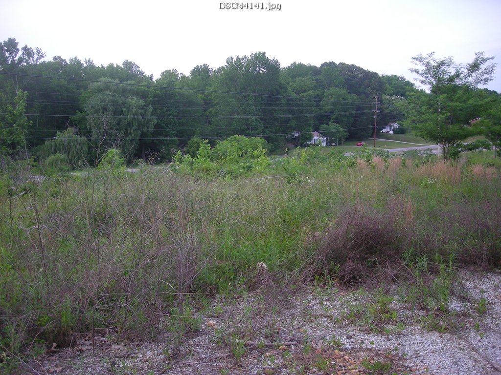 3146 Hwy 72, Killen, AL 35645 