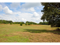 000 CR 419, Killen, AL 35645 