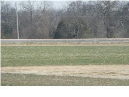 10 J McGee Rd, Leighton, AL 35646 