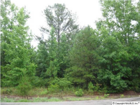 County Road 324, Moulton, AL 35650 