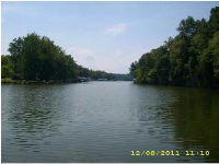 1520 County Road 113, Rogersville, AL 35652 