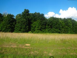 95 White Oak Way, Rogersville, AL 35652 