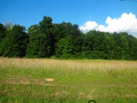 95 White Oak Way, Rogersville, AL 35652 