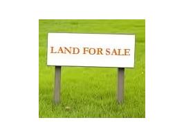 0 Second Creek Road, Rogersville, AL 35652 