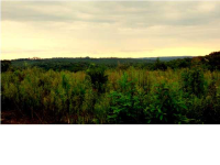 0 Jones Road, Russellville, AL 35653 