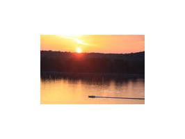 24 Riverview Dr, Sheffield, AL 35660 