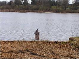 000 Lakewood Dr., Muscle Shoals, AL 35661 