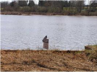 000 Lakewood Dr., Muscle Shoals, AL 35661 