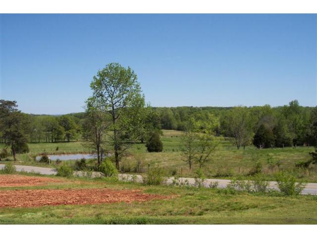 934 Joe Lemmond Road, Sommerville, AL 35670 