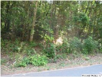 2505 Bluff City Road, Somerville, AL 35670 