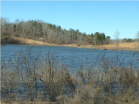 00 CR 254, Town Creek, AL 35672 