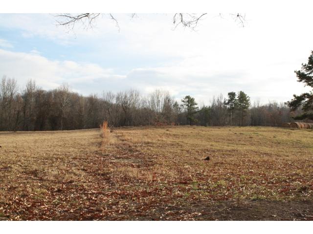 538 County Road 365, Trinity, AL 35673 