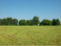 County Road 434, Trinity, AL 35673 