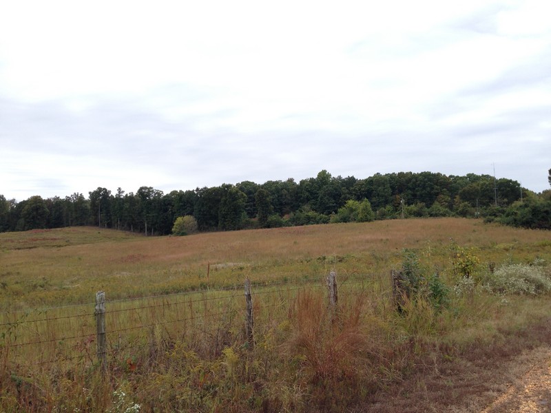 3146 Hawk Pride Mtn Rd, Tuscumbia, AL 35674 