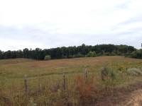 3146 Hawk Pride Mtn Rd, Tuscumbia, AL 35674 