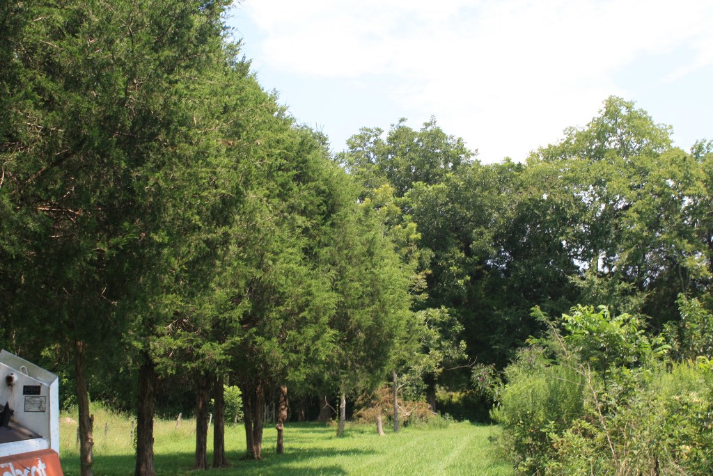 0 Patches Ln, Tuscumbia, AL 35674 