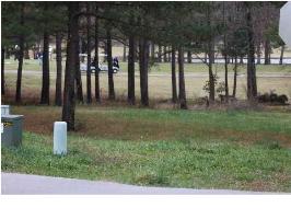 14 Twin Pines, Tuscumbia, AL 35674 