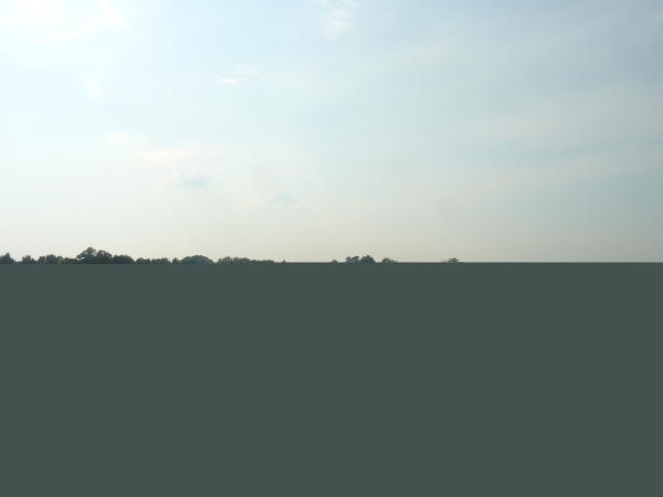 0 Highway 52 East, Webb, AL 36376 