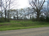 00 County Road 49, Malvern, AL 36375 