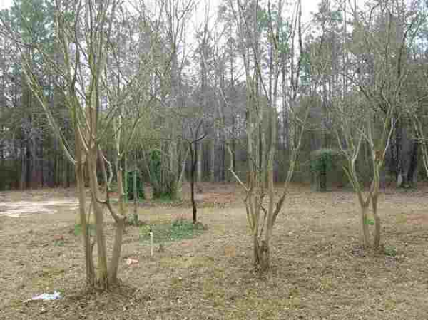 702 Private Road 1325, Skipperville, AL 36374 