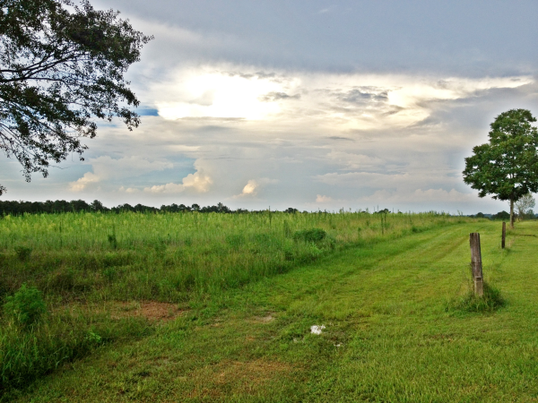 0 E Cook Road, Pansey, AL 36370 