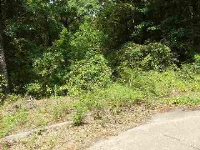 LOT 19 HORNSBY, Ozark, AL 36360 