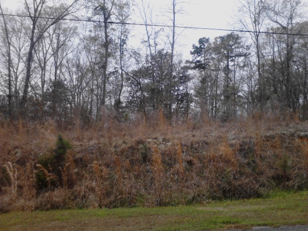 000 A B Stubbs, Ozark, AL 36360 