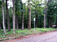 0 Trotman Circle, Ozark, AL 36360 