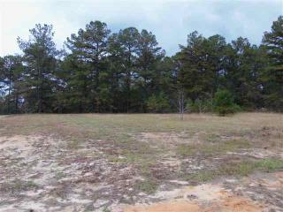 LOT 2 BLOCK H HORSESHOE BENDKENNESAW GAP, Ozark, AL 36360 