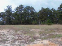 LOT 2 BLOCK H HORSESHOE BENDKENNESAW GAP, Ozark, AL 36360 