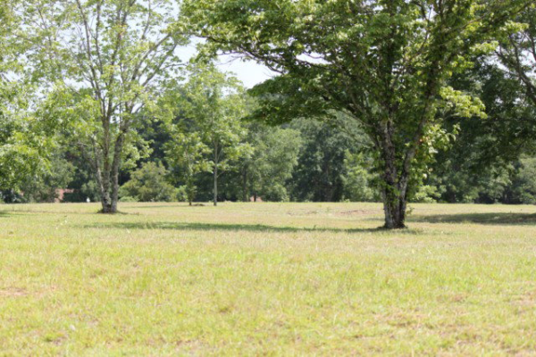 17-A J. B. Chapman Road, Midland City, AL 36350 