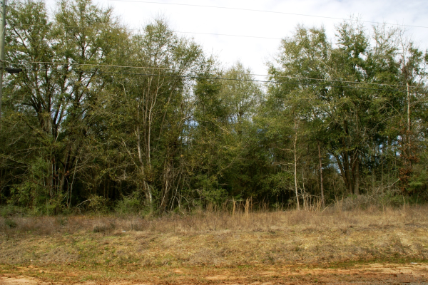 County Road 257, New Brockton, AL 36351 