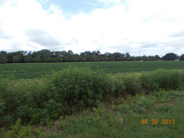 0 Anthony Lane, Newton, AL 36352 