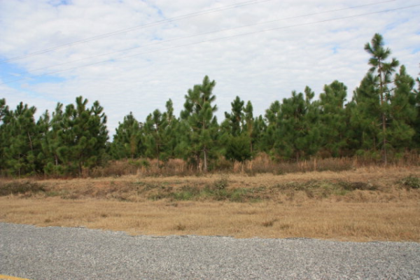 x County Road 71, Newton, AL 36352 