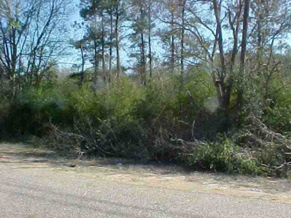 0 Judge Logue, Newton, AL 36352 