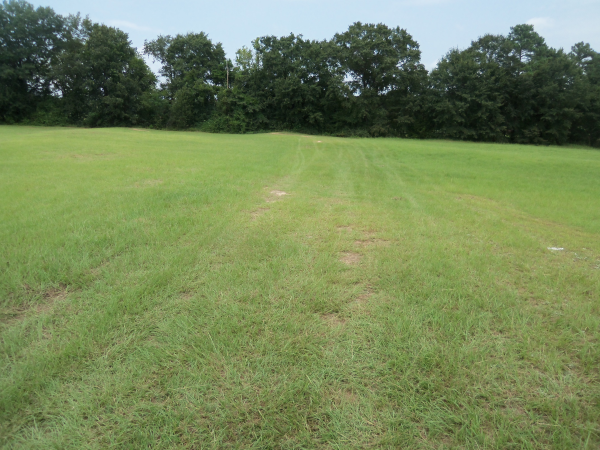 0 Laura Lane, Wicksburg, AL 36352 