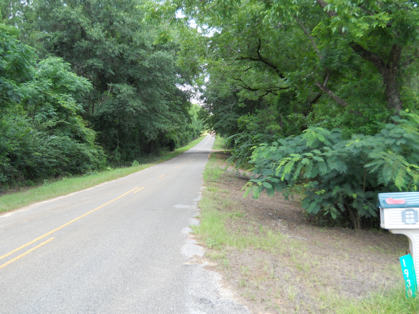 1930 County Road 5 Rocy Head Community, Ozark, AL 36360 