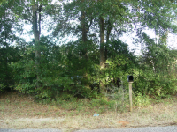 453 COUNTY ROAD 58, Ozark, AL 36360 