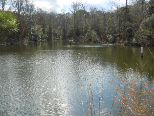 14 N HIGHWAY 123, Ozark, AL 36360 