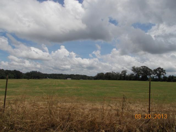 0 Woodyard Rd, Gordon, AL 36343 