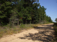 Lot 9/10 Macon Drive, Gordon, AL 36343 