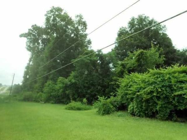 0 Park Avenue, Enterprise, AL 36330 