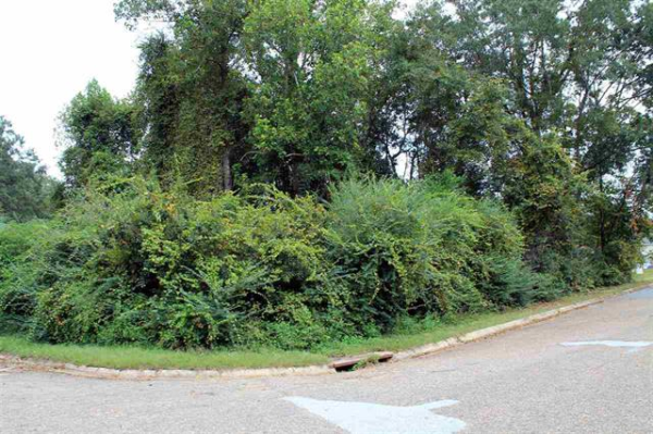 212 Taylor Street, Enterprise, AL 36330 