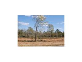 LOT 16 COUNTY ROAD 539, Enterprise, AL 36330 