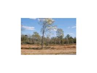 LOT 16 COUNTY ROAD 539, Enterprise, AL 36330 