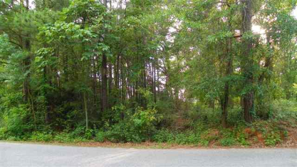 0 ANTLER DRIVE, Enterprise, AL 36330 