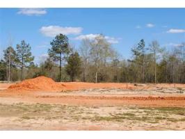 LOT 9 COUNTY ROAD 539, Enterprise, AL 36330 