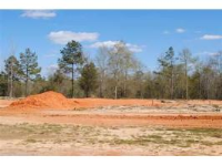 LOT 9 COUNTY ROAD 539, Enterprise, AL 36330 