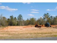 Lot 14 County Road 539, Enterprise, AL 36330 